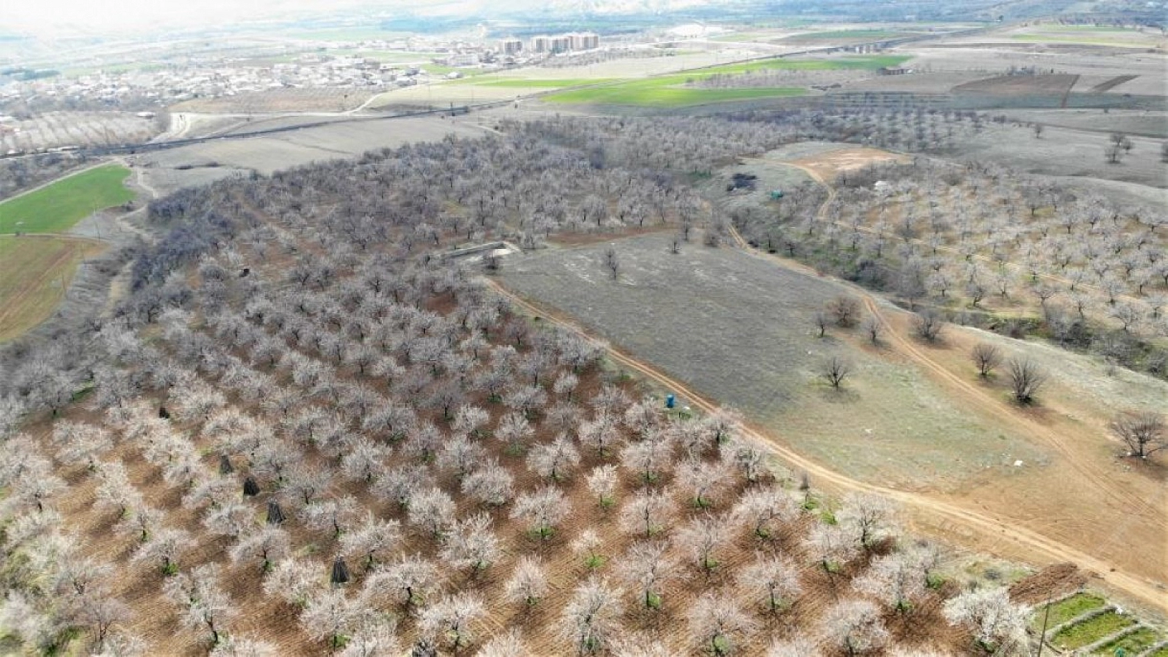 Elazığ'da Ağaçlar Beyaz Gelinliğini Giyindi
