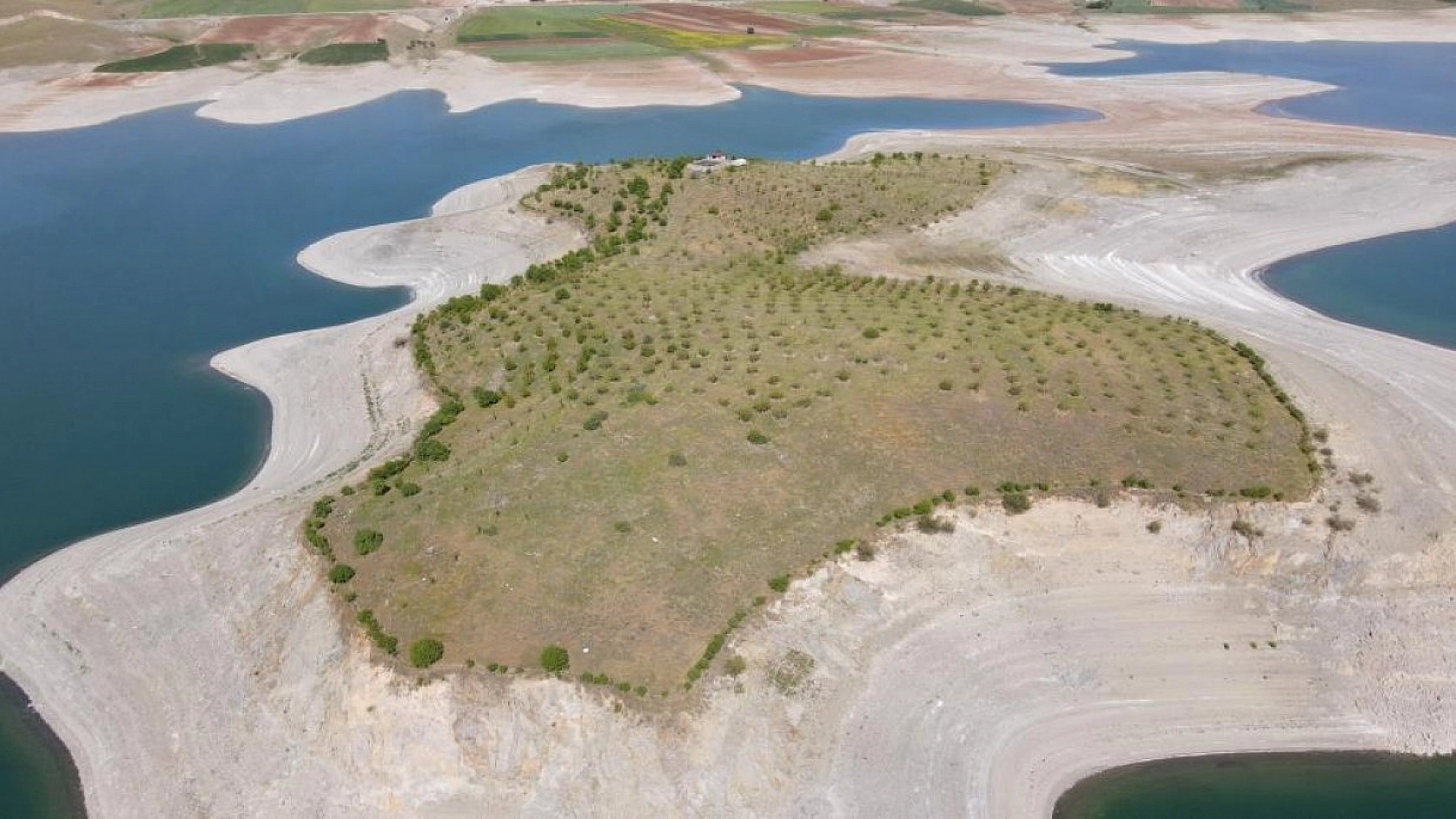 Robinson Ziya Dedenin Adası Baharla Birlikte Yeşile Büründü