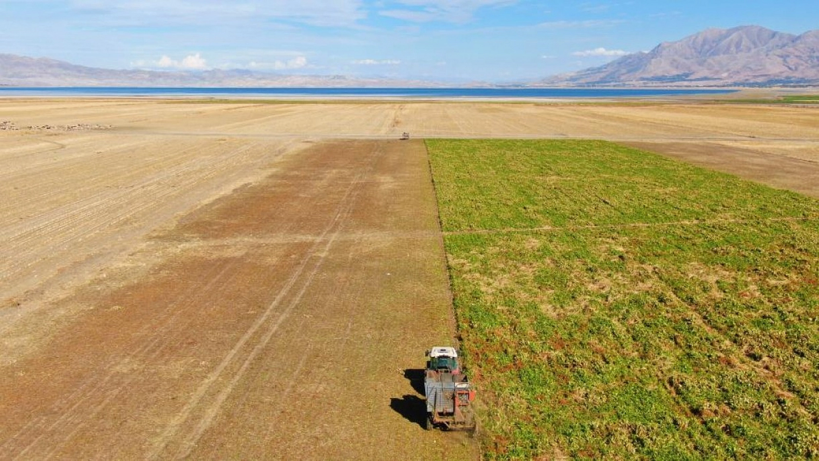 Baraj Gölünde Sular Çekildi, Çiftçiler Bölgeye Şeker Pancarı Ekti!