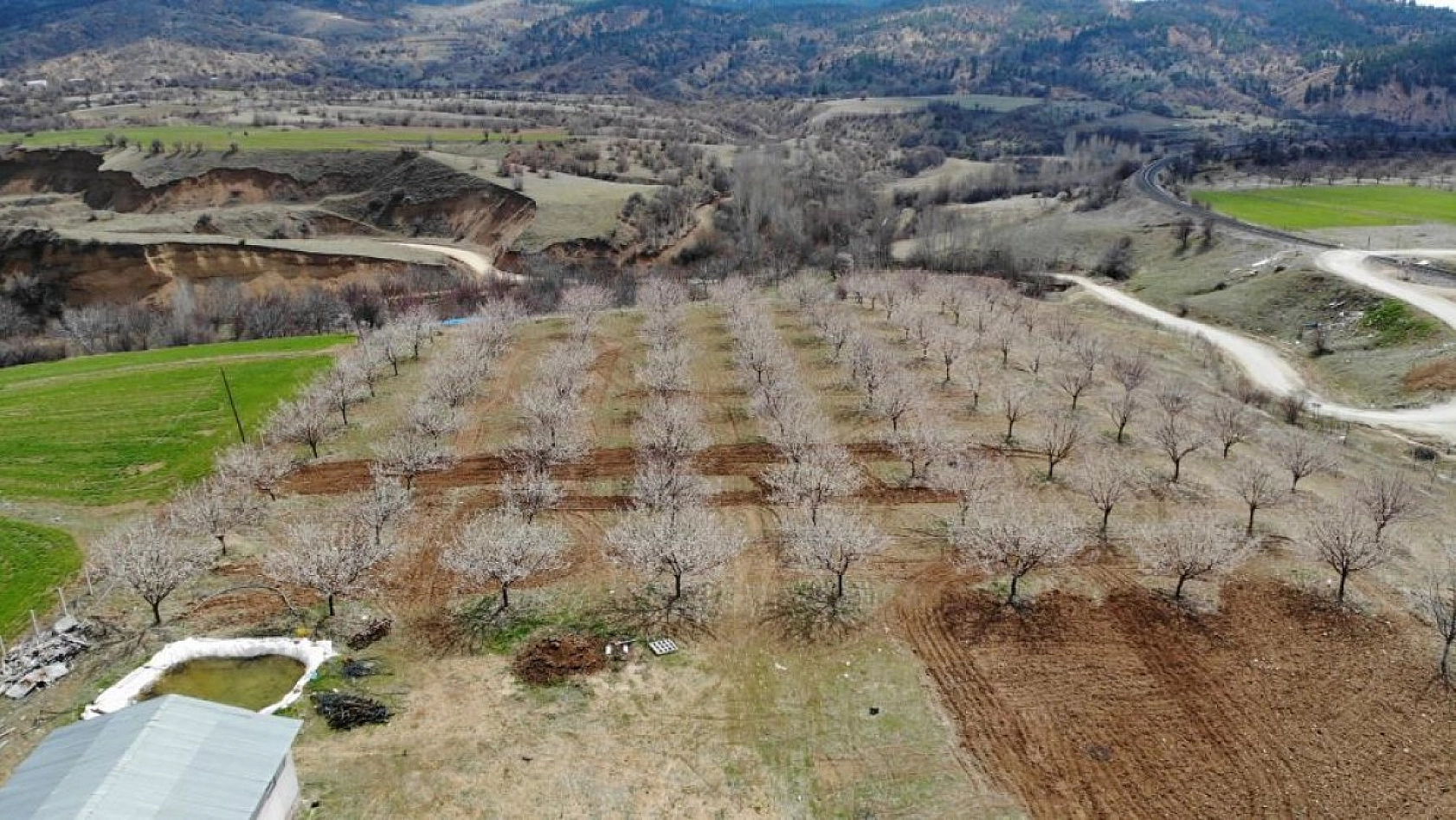 Elazığ'da Ağaçlar Beyaz Gelinliğini Giyindi