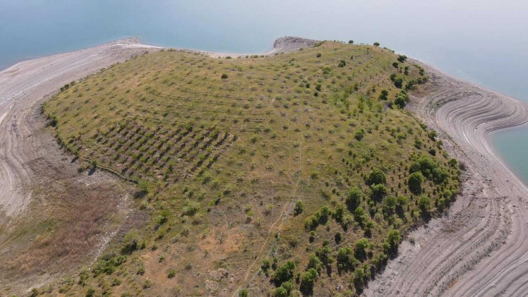 Robinson Ziya Dedenin Adası Baharla Birlikte Yeşile Büründü