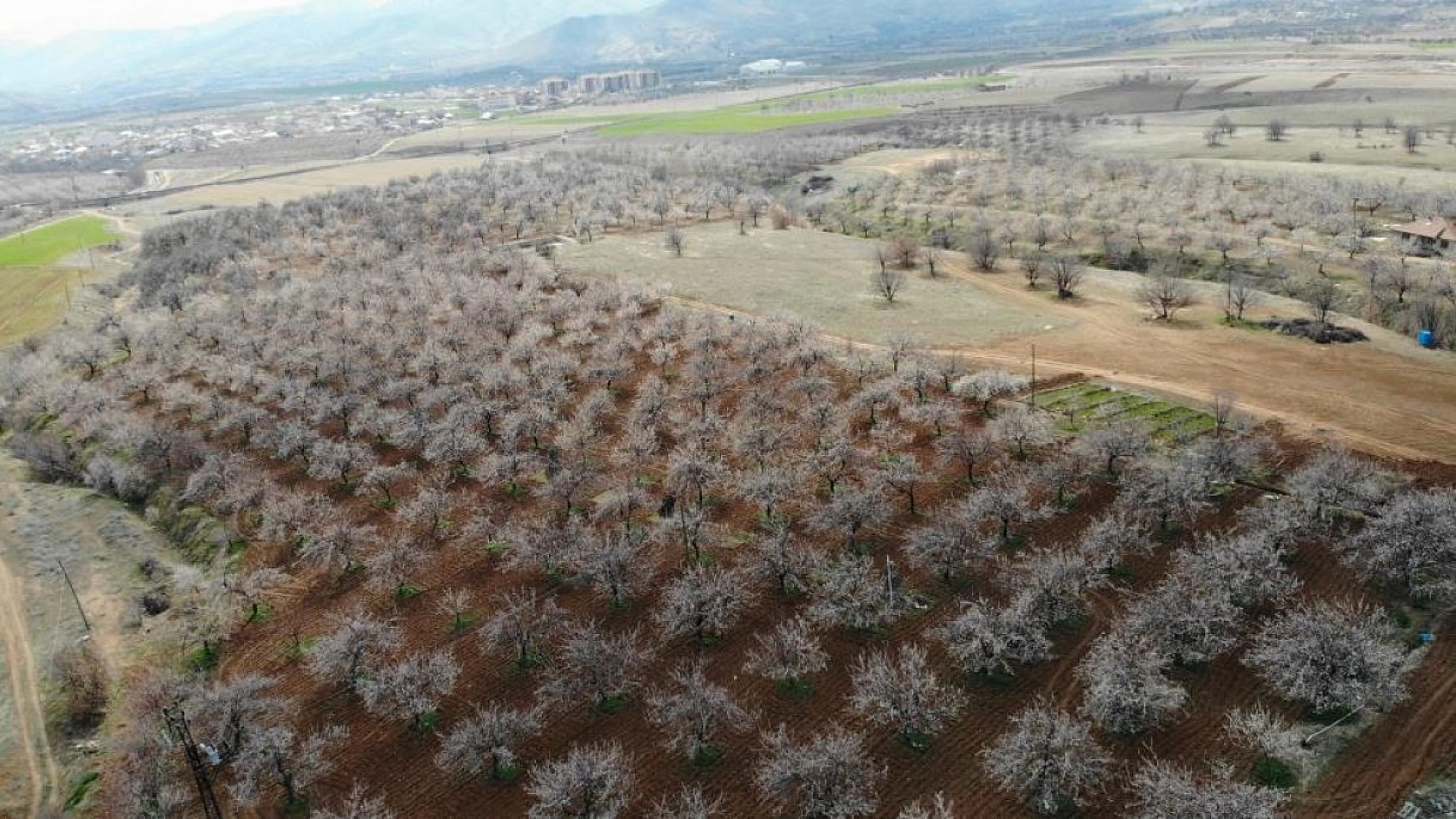 Elazığ'da Ağaçlar Beyaz Gelinliğini Giyindi