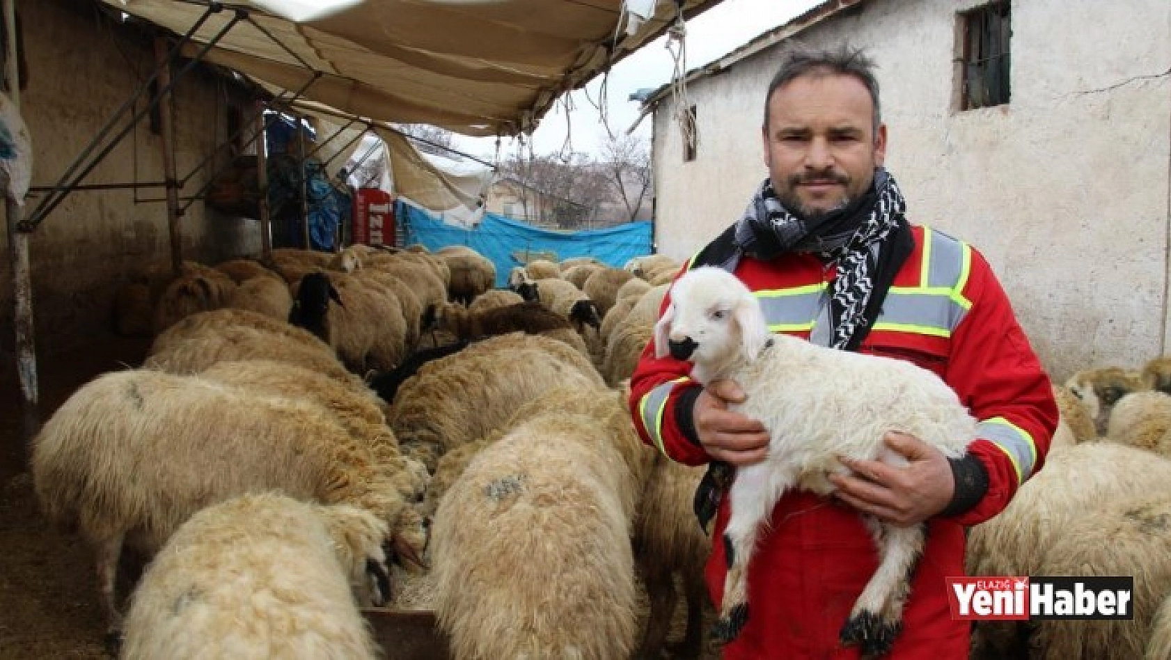 Kuzulara Kendi Bebeği Gibi Bakıyor