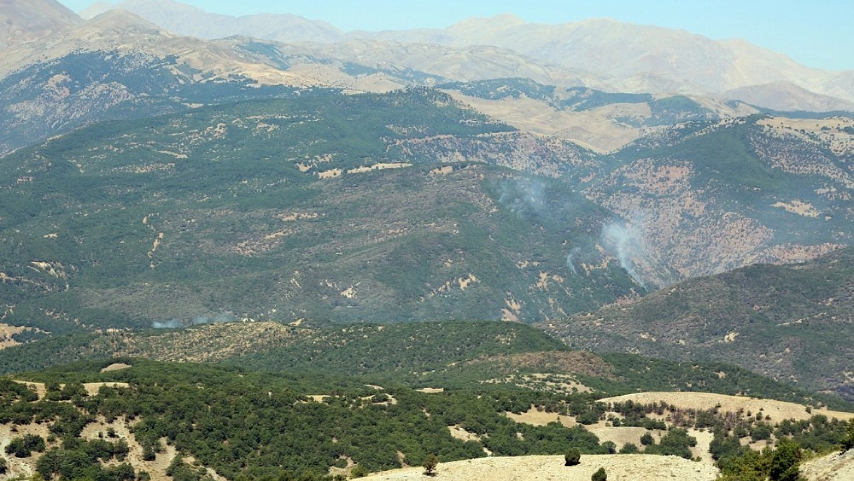 Tunceli'de ormanlık alandaki örtü altı yangını 