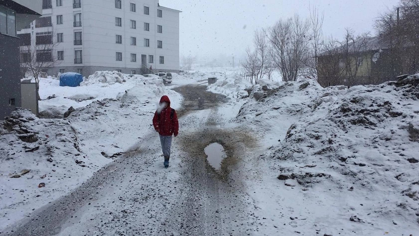 Karlıova'da kar yağışı yeniden başladı 