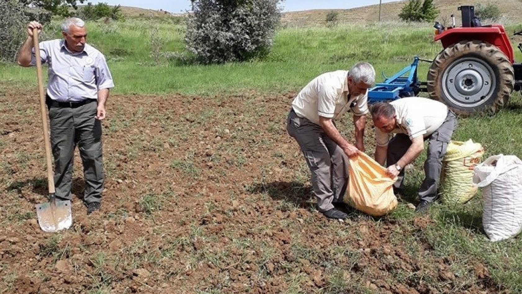 Ele Geçirilen Salep Soğanları Tekrar Toprakla Buluştu