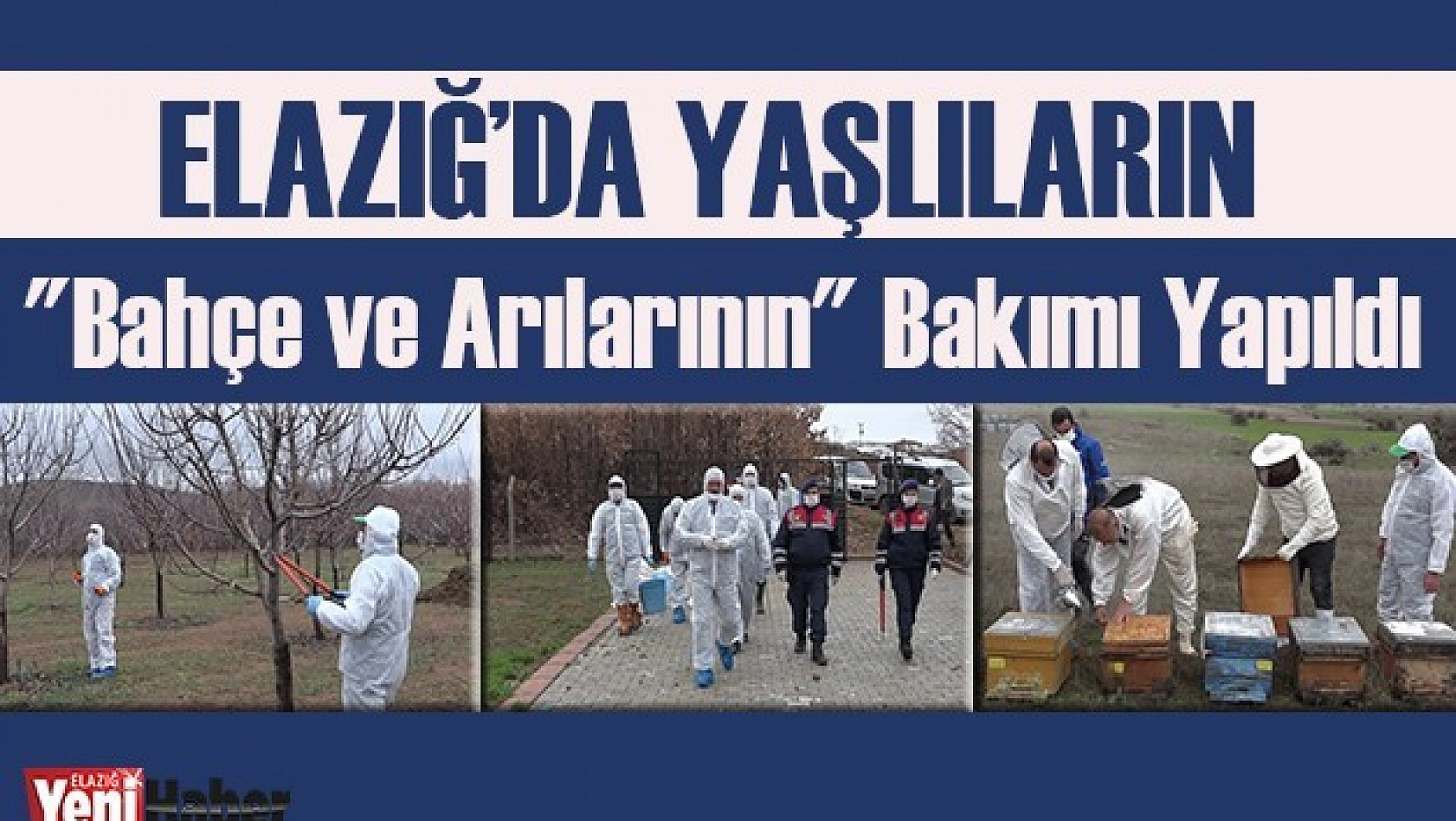 Yaşlıların &quotBahçe ve Arılarının" Bakımı Yapıldı