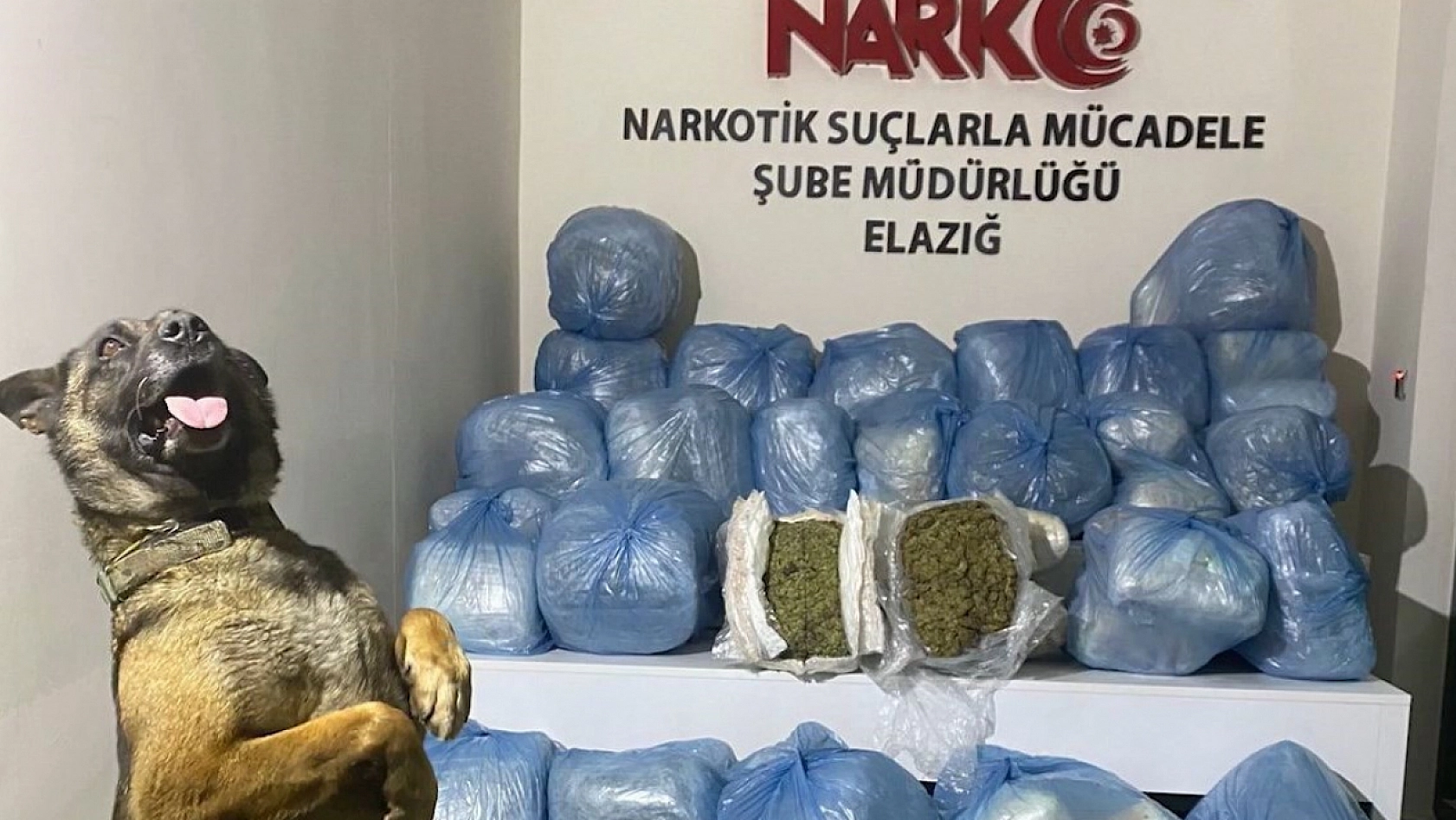 Elazığ'da 123 Kg Uyuşturucu Ele Geçirildi