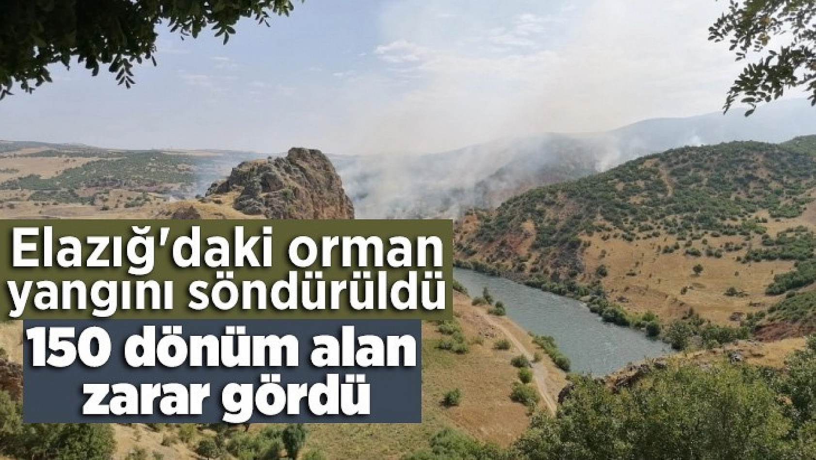 Elazığ'daki orman yangını söndürüldü, 150 dönüm alan zarar gördü