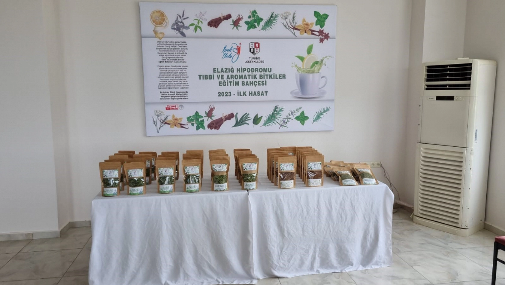 Aromatik Bitkide İlk Hasat