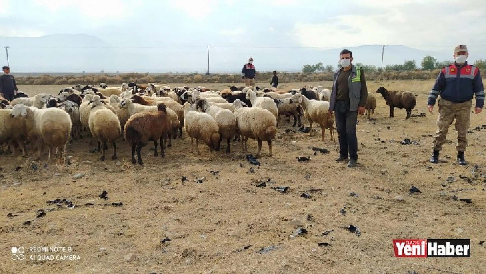 Kayıp Koyun Sürüsü Jandarma'nın Desteğiyle Bulundu
