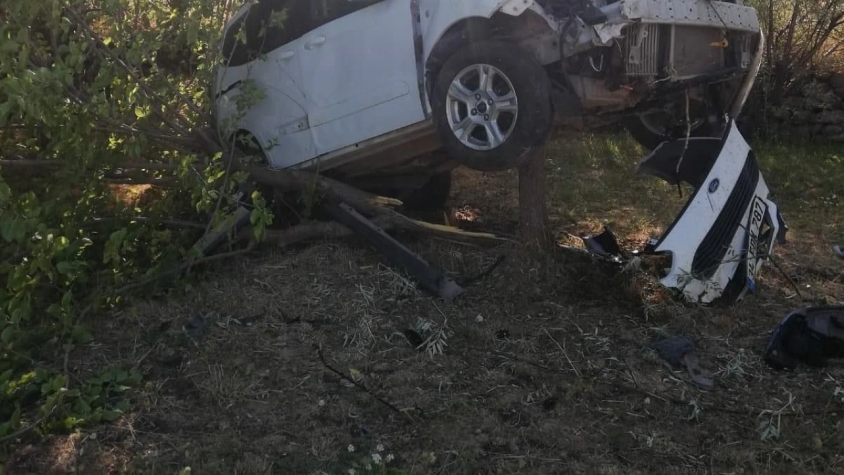 Sürücü kontrolünü kaybetti, ağacı kıran araç asılı kaldı