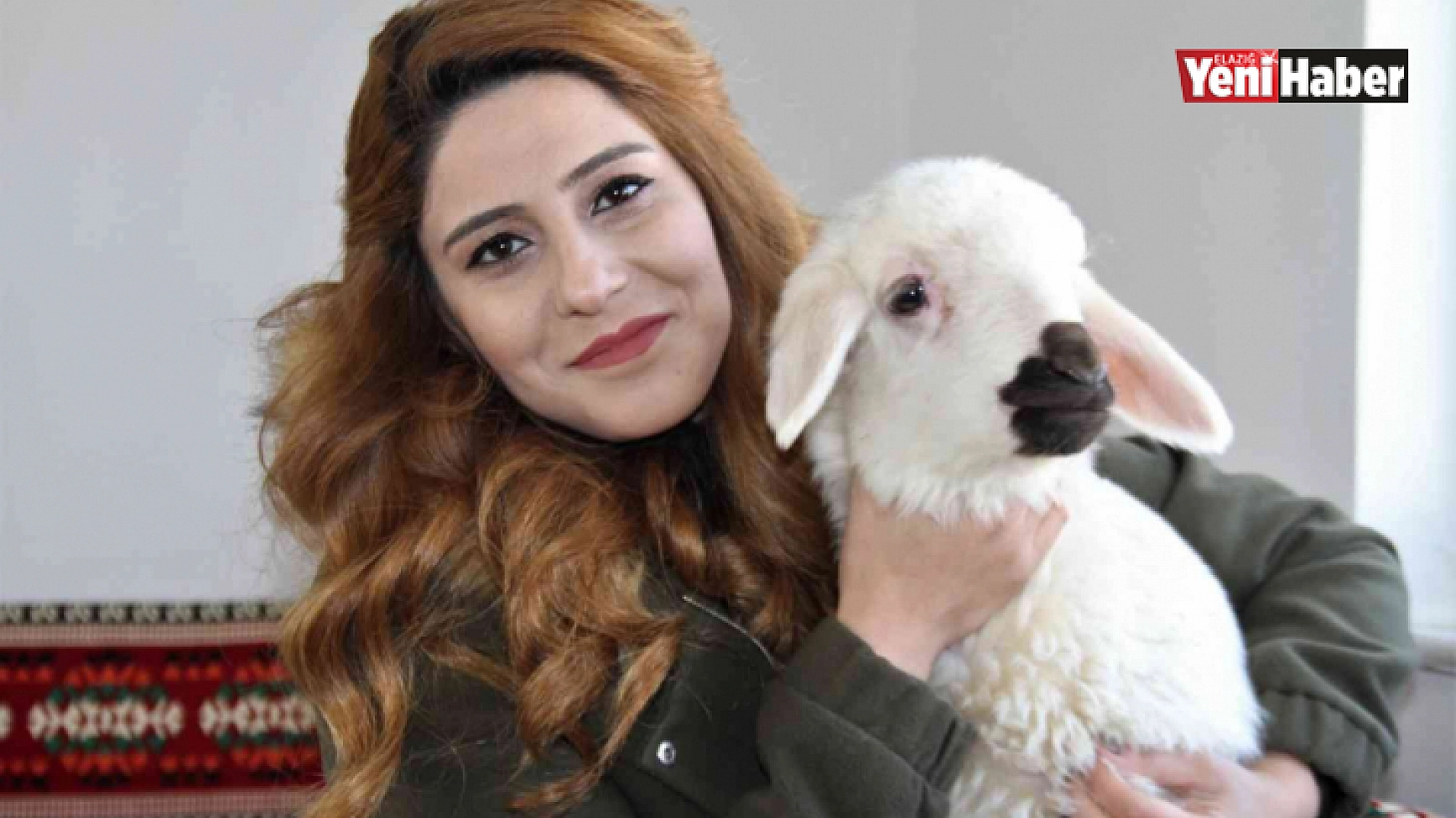 Annesini Kaybeden Kuzuyu Biberonla Besliyorlar