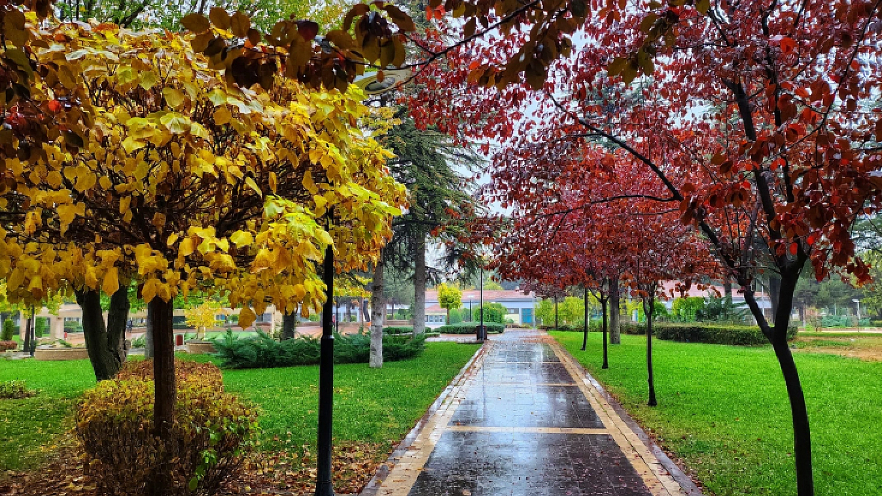 Kampüste Sonbahar Güzelliği