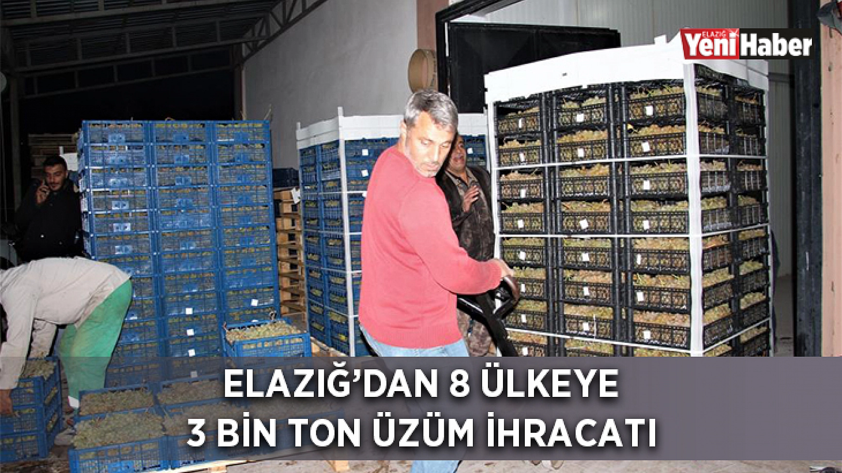 Elazığ'dan 8 Ülkeye 3 Bin Ton Üzüm İhracatı