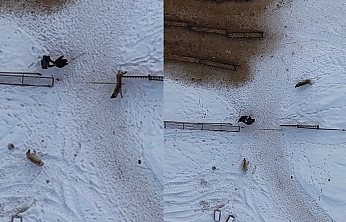 Doğaseverlerin Zor Anları!