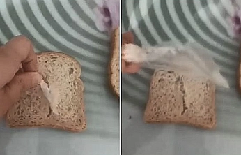 Ekmeğin İçinden Bakın Ne Çıktı?