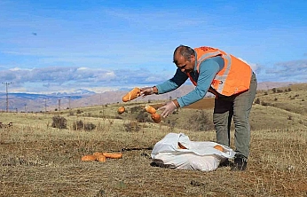 Elazığ'da Doğaya Yem Bırakıldı