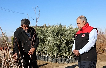 Elazığ'da fidancılık işletmelerine denetim