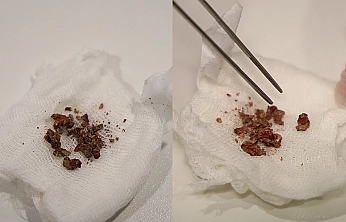 Elazığ'da Hayretlere Düşüren Olay!