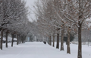 Elazığ'da Kar Yağışı Etkisini Sürdürüyor
