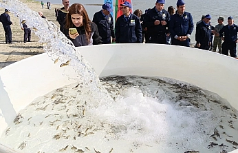 Elazığ'dan Nahçıvan'a Sazan Desteği