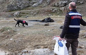 Kayıp Yaşlı Adam İçin 'Salkım' Sahada
