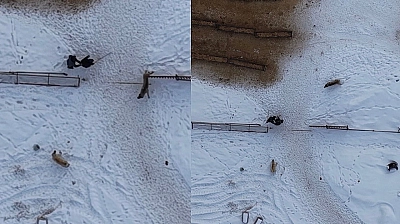 Doğaseverlerin Zor Anları!