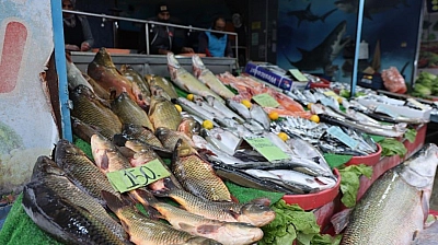 Elazığ'da Balığa Rağbet Arttı