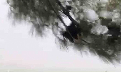 Elazığ'da fırtına etkili oldu