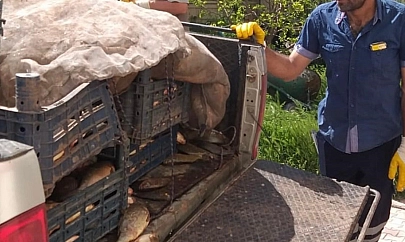 Elazığ'da kaçak avlanan 700 kilogram balık ele geçirildi