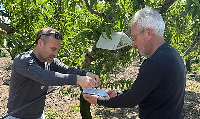 Elazığ'da Tarım Çalışmaları
