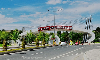 Elazığ'da 50. Yıl Festivali