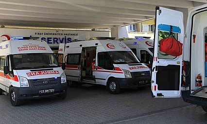 Elazığ'da Kardeş Kavgası Kanlı Bitti!