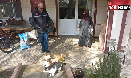 Zahide Ninenin Kedilerine Mama Desteği