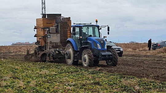 Adilcevaz'da pancar sökümü hızla devam ediyor
