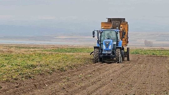 Adilcevaz'da pancar sökümü hızla devam ediyor