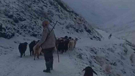 Ağrı'da kar ve tipi hayatı durdurdu