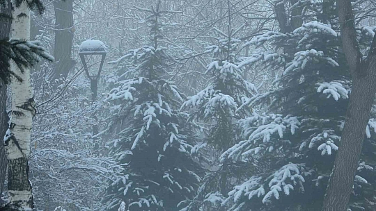 Ardahan güne karla uyandı