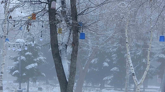 Ardahan güne karla uyandı