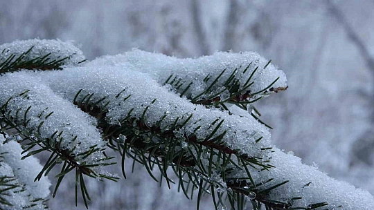 Ardahan güne karla uyandı
