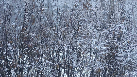 Ardahan güne karla uyandı