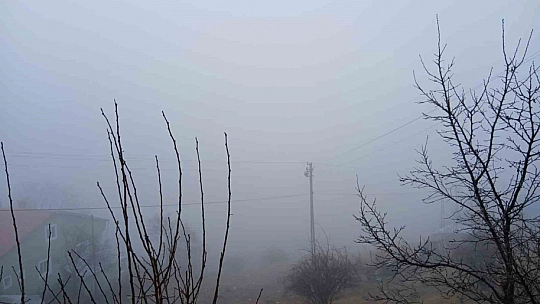 Posof'ta yoğun sis etkiliyor oluyor