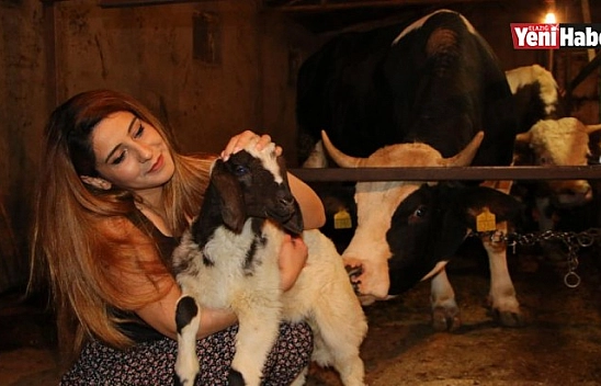 15 Bin Liralık Düveyi Alana Kuzu Hediye