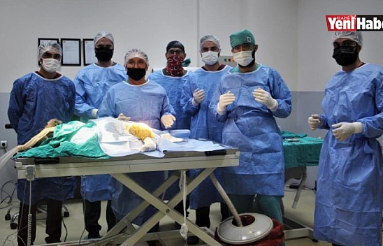 Araç Çarpması Sonucu Bacakları Kırılan Yavru Ayı Ameliyata Alındı