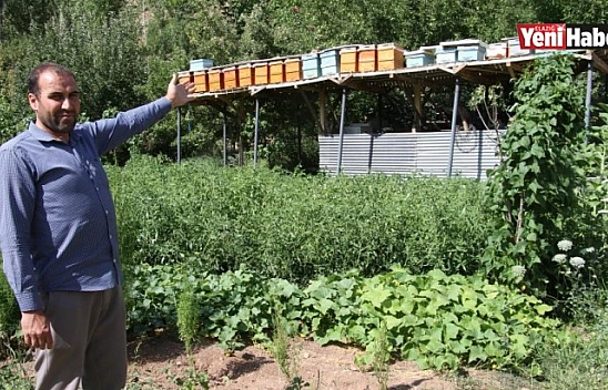 Ayılar Balını Yiyince Çareyi İskele Kurmakta Buldu