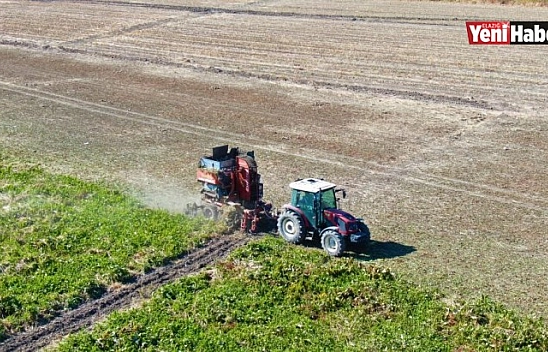 Baraj Gölünde Sular Çekildi, Çiftçiler Bölgeye Şeker Pancarı Ekti!