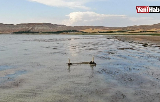 Baraj Sularının Çekilmesiyle 700 Yıllık Mezarlık Gün Yüzüne Çıktı