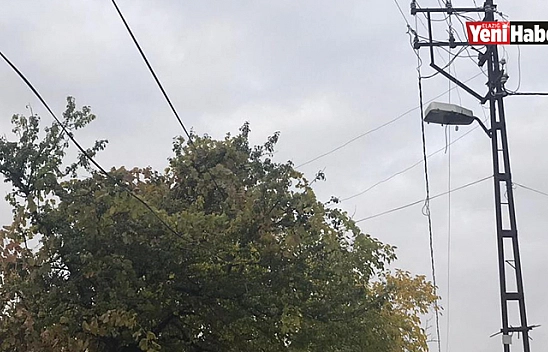 Baskil'de Elektrik Telleri Tehlike Saçıyor!