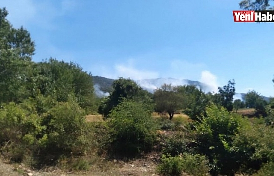 Elazığ'da Çıkan Yangın Kontrol Altında Alındı